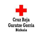 Bizkaiko Gazteen Gurutze Gorria - Cruz Roja Juventud Bizkaia