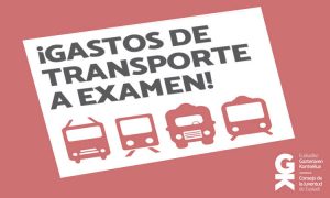 Informe Gastos de transporte a examen - Consejo de la Juventud de Euskadi