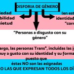 Día de la visibilidad Trans - Consejo de la Juventud de Euskadi
