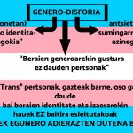Trans ikusgaitasun eguna - Euskadiko Gazteriaren Kontseilua